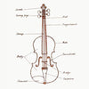 Violin Parts