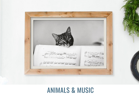 Animals & Music