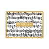 Musica Thank You Boxed Notecards